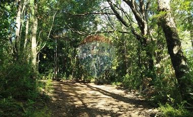 Parcelas en venta Pucón Villarrica