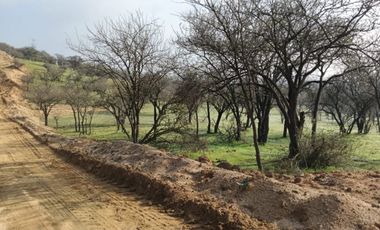 Vende parcelas con crédito directo, en proyecto Lomas del Valle, ubicado en Rapel.