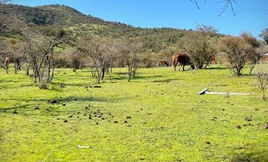 Vende parcelas con crédito directo, en proyecto Lomas del Valle, ubicado en Rapel.