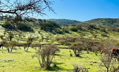 Vende parcelas con crédito directo, en proyecto Lomas del Valle, ubicado en Rapel.