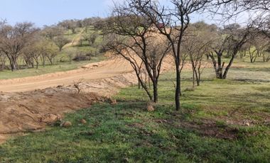 Vende parcelas con crédito directo, en proyecto Lomas del Valle, ubicado en Rapel.