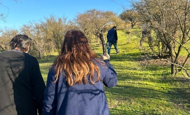 Vende parcelas con crédito directo, en proyecto Lomas del Valle, ubicado en Rapel.