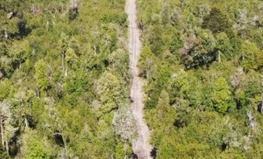 Últimas Parcelas en Sector Lago Chapo, Puerto Montt con Precio Rebajado Hasta el 31-12-2025