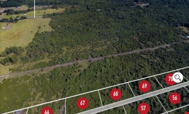 Últimas Parcelas en Sector Lago Chapo, Puerto Montt con Precio Rebajado Hasta el 31-12-2025