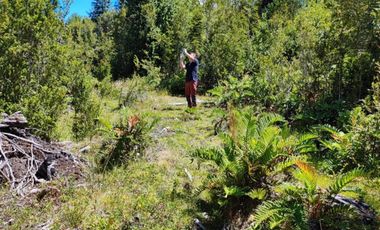 Últimas Parcelas en Sector Lago Chapo, Puerto Montt con Precio Rebajado Hasta el 31-12-2025