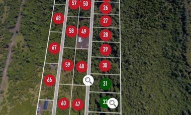 Últimas Parcelas en Sector Lago Chapo, Puerto Montt con Precio Rebajado Hasta el 31-12-2025