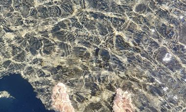 Últimas Parcelas en Sector Lago Chapo, Puerto Montt con Precio Rebajado Hasta el 31-12-2025