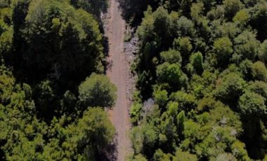 Últimas Parcelas en Sector Lago Chapo, Puerto Montt con Precio Rebajado Hasta el 31-12-2025