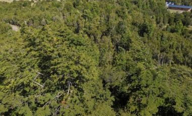 Últimas Parcelas en Sector Lago Chapo, Puerto Montt con Precio Rebajado Hasta el 31-12-2025