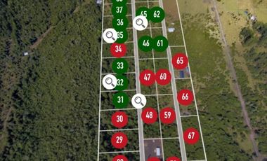 Últimas Parcelas en Sector Lago Chapo, Puerto Montt con Precio Rebajado Hasta el 31-12-2025