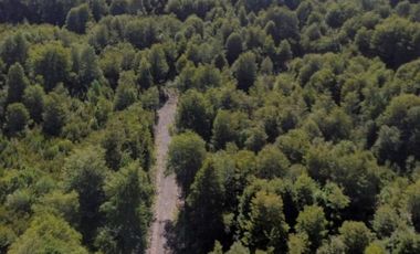 Últimas Parcelas en Sector Lago Chapo, Puerto Montt con Precio Rebajado Hasta el 31-12-2025