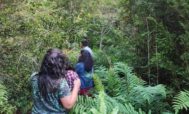 Últimas Parcelas en Sector Lago Chapo, Puerto Montt con Precio Rebajado Hasta el 31-12-2025