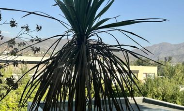 CONDOMINIO AV LA DEHESA ALTA SEGURIDAD NIDO DE AGUILAS