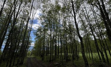 Maravillosa parcela con impresionante vista al lago!!!