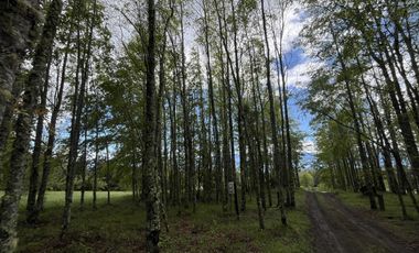 Maravillosa parcela con impresionante vista al lago!!!
