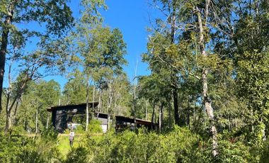 Linda parcela en Huincacara con bosque nativo!