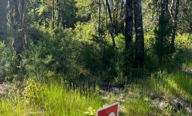 Linda parcela en Huincacara con bosque nativo!