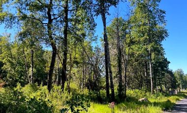 Linda parcela en Huincacara con bosque nativo!