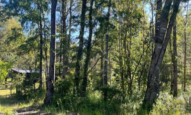 Linda parcela en Huincacara con bosque nativo!