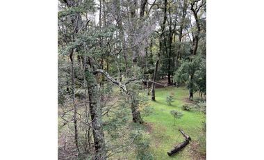 Lindisimo departamento amoblado, camino al volcán en arriendo año corrido!