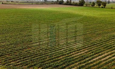 ZONIF. ZTE - para USO RESIDENCIAL, COMERCIAL, RECREACIONAL, CULTURAL, ETC!