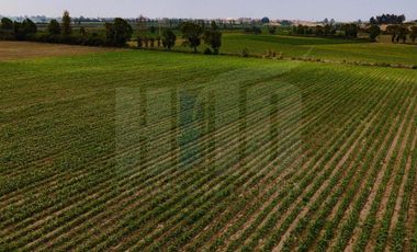 ZONIF. ZTE - para USO RESIDENCIAL, COMERCIAL, RECREACIONAL, CULTURAL, ETC!