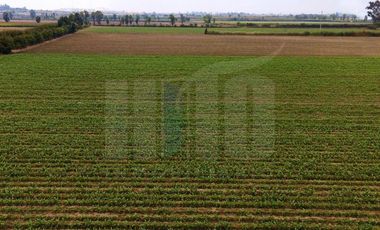 ZONIF. ZTE - para USO RESIDENCIAL, COMERCIAL, RECREACIONAL, CULTURAL, ETC!