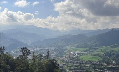 ARRIENDO APARTAMENTO EN PALERMO MANIZALES | ARRIENDOS MANIZALES