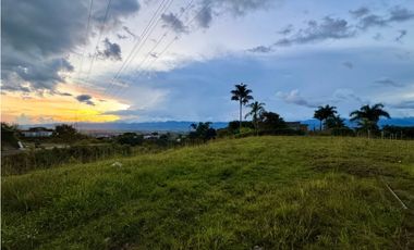 Lote con espectacular vista