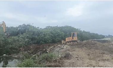 CAMARONERA PRODUCTIVA EN VENTA – 204 HECTREAS | TENGUEL, GUAYAS