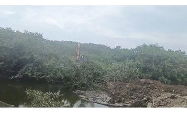 CAMARONERA PRODUCTIVA EN VENTA – 204 HECTREAS | TENGUEL, GUAYAS