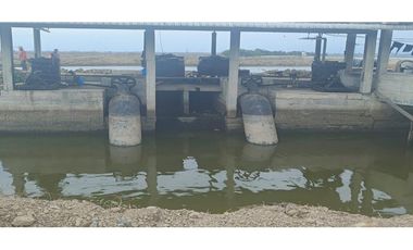 CAMARONERA PRODUCTIVA EN VENTA – 204 HECTREAS | TENGUEL, GUAYAS