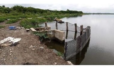 CAMARONERA PRODUCTIVA EN VENTA – 204 HECTREAS | TENGUEL, GUAYAS