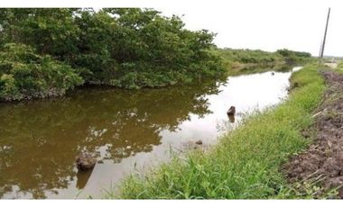 CAMARONERA PRODUCTIVA EN VENTA – 204 HECTREAS | TENGUEL, GUAYAS