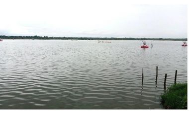 CAMARONERA PRODUCTIVA EN VENTA – 204 HECTREAS | TENGUEL, GUAYAS