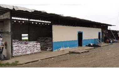 CAMARONERA PRODUCTIVA EN VENTA – 204 HECTREAS | TENGUEL, GUAYAS