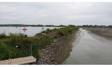 CAMARONERA PRODUCTIVA EN VENTA – 204 HECTREAS | TENGUEL, GUAYAS