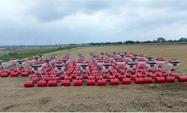 CAMARONERA PRODUCTIVA EN VENTA – 204 HECTREAS | TENGUEL, GUAYAS