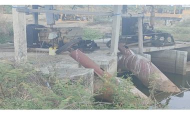 CAMARONERA PRODUCTIVA EN VENTA – 204 HECTREAS | TENGUEL, GUAYAS