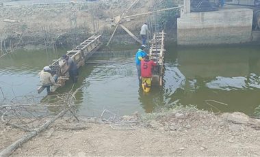 CAMARONERA PRODUCTIVA EN VENTA – 204 HECTREAS | TENGUEL, GUAYAS