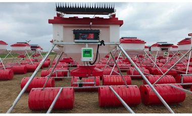 CAMARONERA PRODUCTIVA EN VENTA – 204 HECTREAS | TENGUEL, GUAYAS