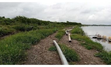 CAMARONERA PRODUCTIVA EN VENTA – 204 HECTREAS | TENGUEL, GUAYAS