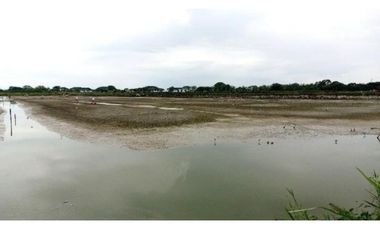 CAMARONERA PRODUCTIVA EN VENTA – 204 HECTREAS | TENGUEL, GUAYAS