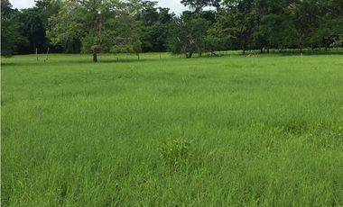 Finca en Venta en San Onofre Sucre