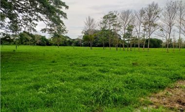 Finca en Venta en San Onofre Sucre