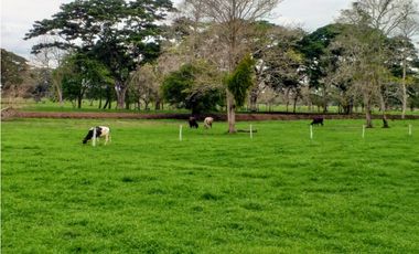 Finca en Venta en San Onofre Sucre