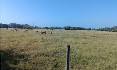 Finca en venta en Puerto Escondido Cordoba