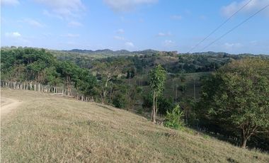 Finca en venta en Puerto Escondido Cordoba