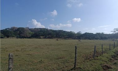 Finca en venta en Puerto Escondido Cordoba