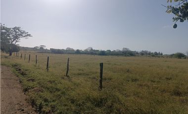 Finca en venta en Puerto Escondido Cordoba